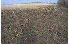 Property photo 59 - 98+/- Acres Offered in 6 Tracts or Combinations, Noble County, Indiana Farm